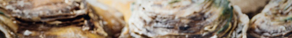 特大生蚝批发