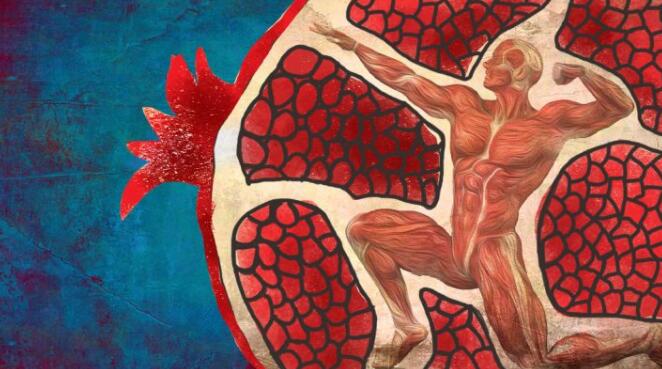 石榴的13种经过证明的健康益处:赞美红宝石红色种子