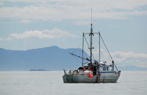轻食风席卷“羊城”,美国阿拉斯加海鲜沙拉在等你