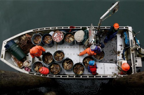 轻食风席卷“羊城”,美国阿拉斯加海鲜沙拉在等你