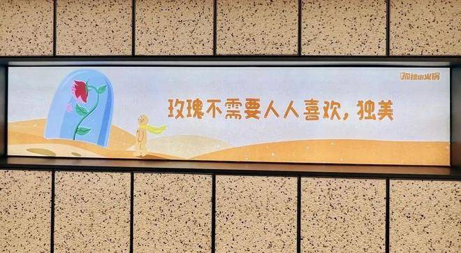 锅底5元起，人均只要50元！大斌家要做“串串火锅界的萨莉亚”！